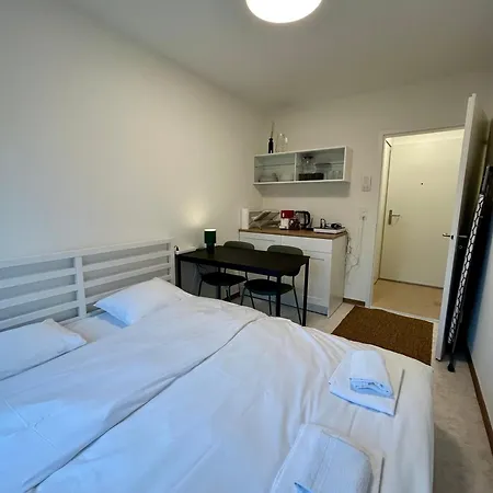Apartment Basic In Witikon District