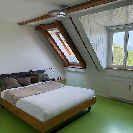Attic With Parking And View Apartment *