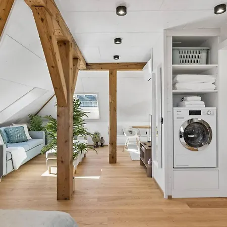 Waterfront Penthouse Ac Rooftop Free Parking * Zurich