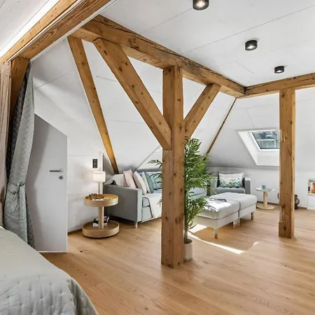 Waterfront Penthouse Ac Rooftop Free Parking * Zurich