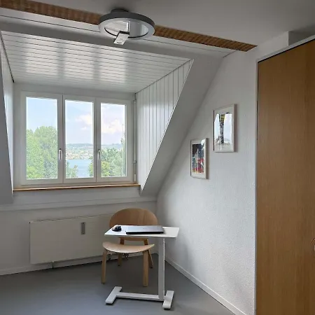 Attic With Parking And View Apartment Zurich
