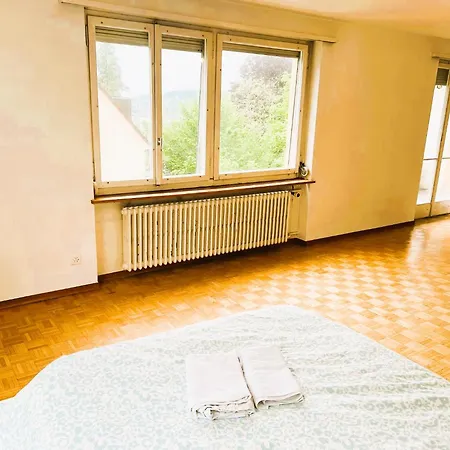 Apartment Center Flats With Balcony - Rigi *