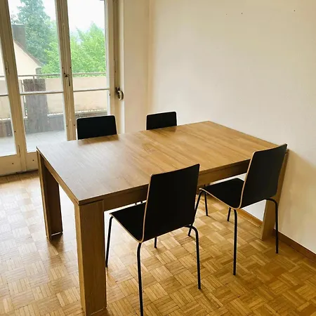 Center Flats With Balcony - Rigi Apartment