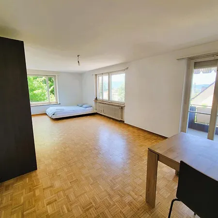 Center Flats With Balcony - Rigi Apartment *