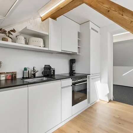 Waterfront Penthouse Ac Rooftop Free Parking Apartment Zurich