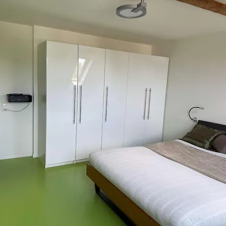 Attic With Parking And View Apartment Zurich