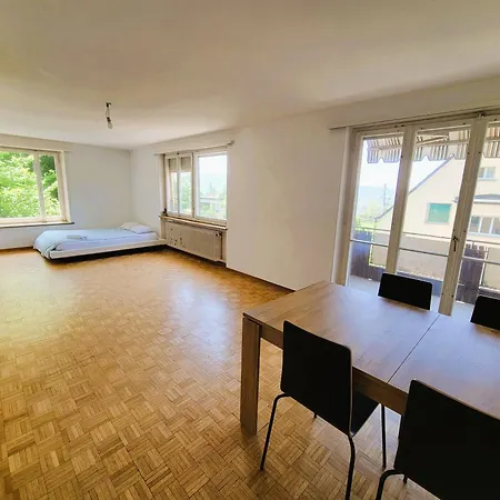 Apartment Center Flats With Balcony - Rigi Zurich