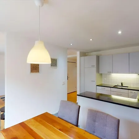 Fantastic 1 Bedroom Flat In The Center - Froehlich Apartment Zurich
