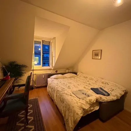 Cosy In Attic Flat In The Center Of Homestay Zurich