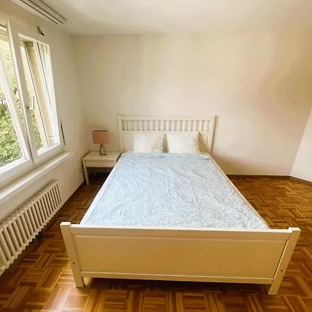 3 Old Town Flat - Munstere Apartment Zurich