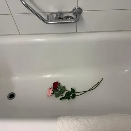 Side Center In Friendly Area Apartment *