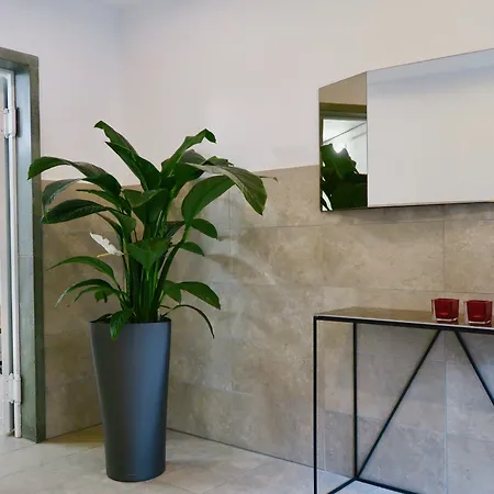 Furnished Homes Zurich