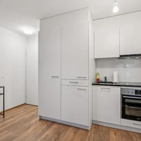 Exclusive Near Center - Color 4 Apartment Zurich
