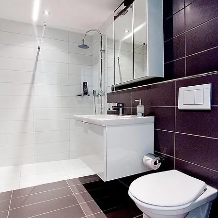 Luxury By Livingdowntown Apartment Zurich