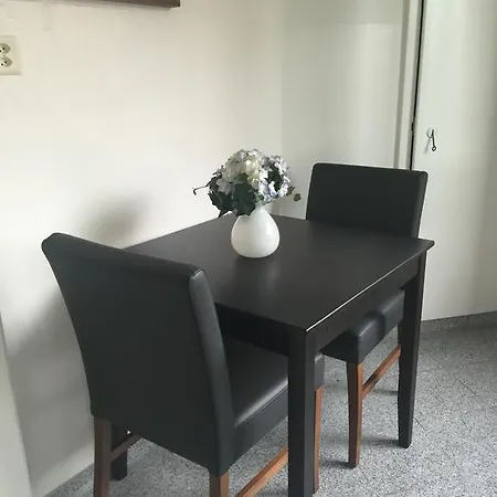 Swiss Star Hard Bridge Apartment