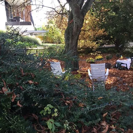 Garden Zürichberg * Zürich