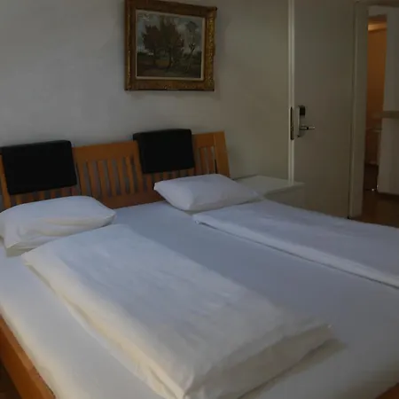 Rosa Apartment Zuerich City