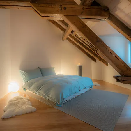 Apartment Le Bijou Lintheschergasse / Hb