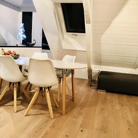 Apartment Luxury Penthouse Zurich