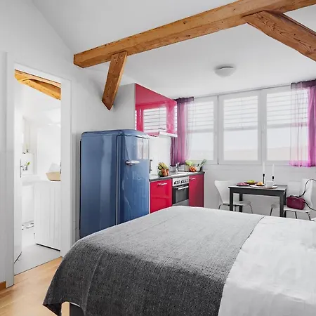 Apartment Swiss Star Hard Bridge Zurich