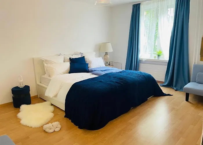 Cozy Home Apartment