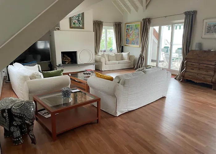 Spacious And Stylish Apartment In Zurich