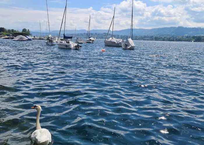 Cozy Apartment In Zuerich City