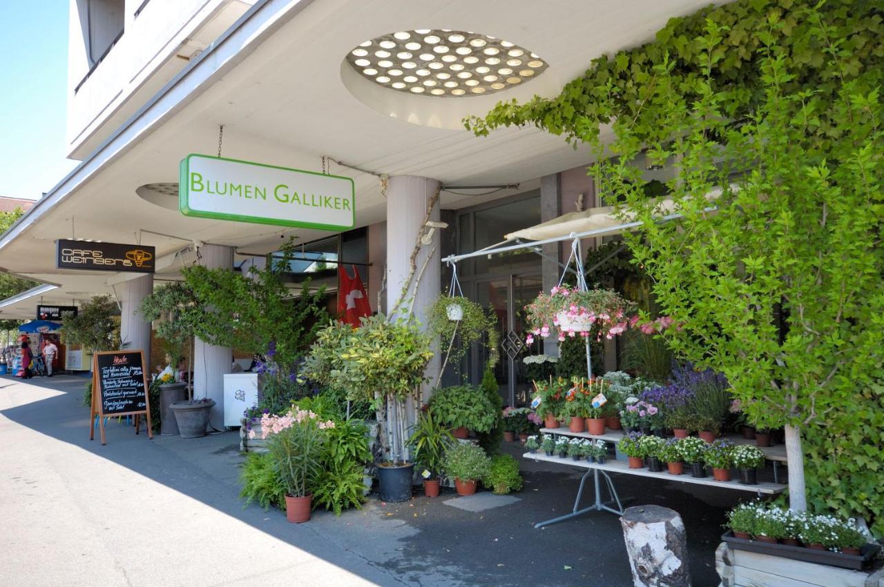 In The Center - Vineyard 22