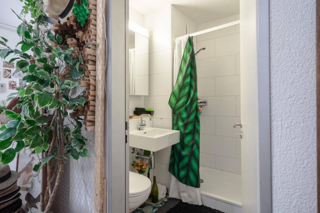 Apartment Zurich Accomodation
