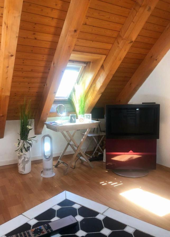 Rooftop With Own Terrace And Cityview Zurich