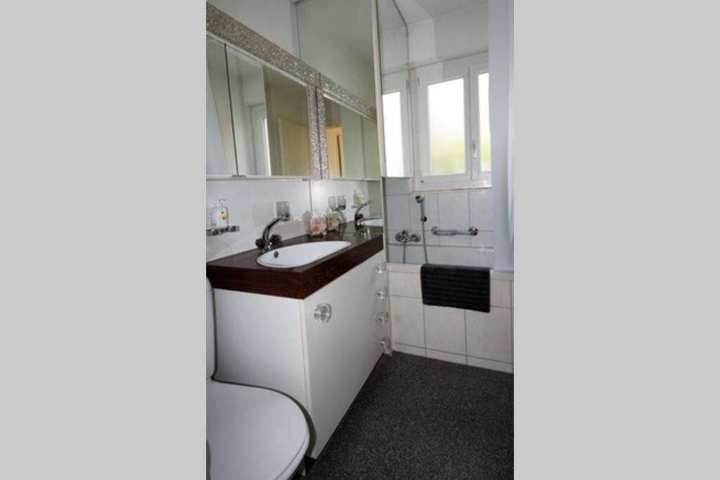 Apartamento Turicum Mit Balkon Und Parkplatz