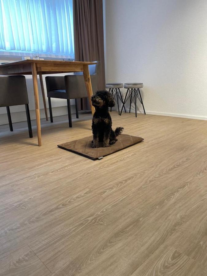Apartment Gocki