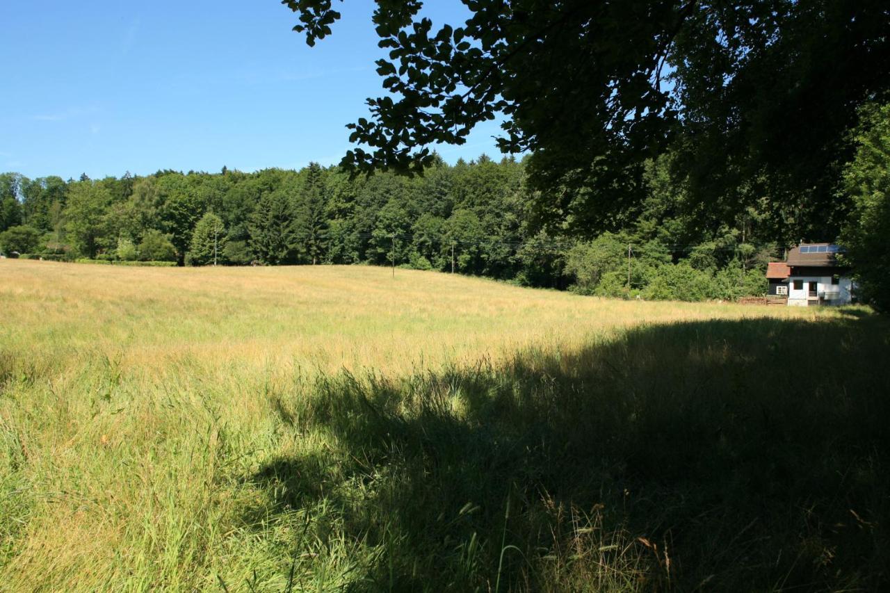 Hausteil In Einer Waldlichtung Im Stadtwald