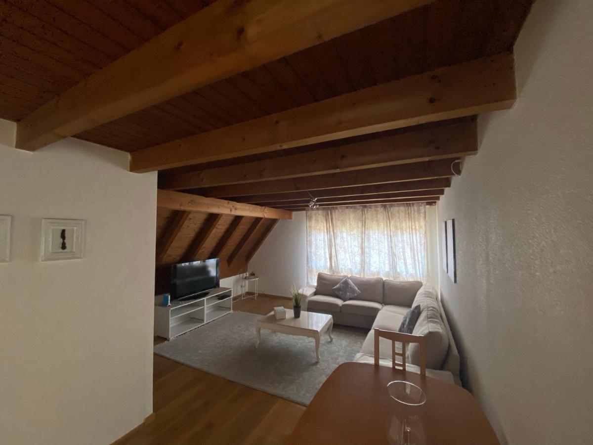 Get Cozy Family Flat Zurich