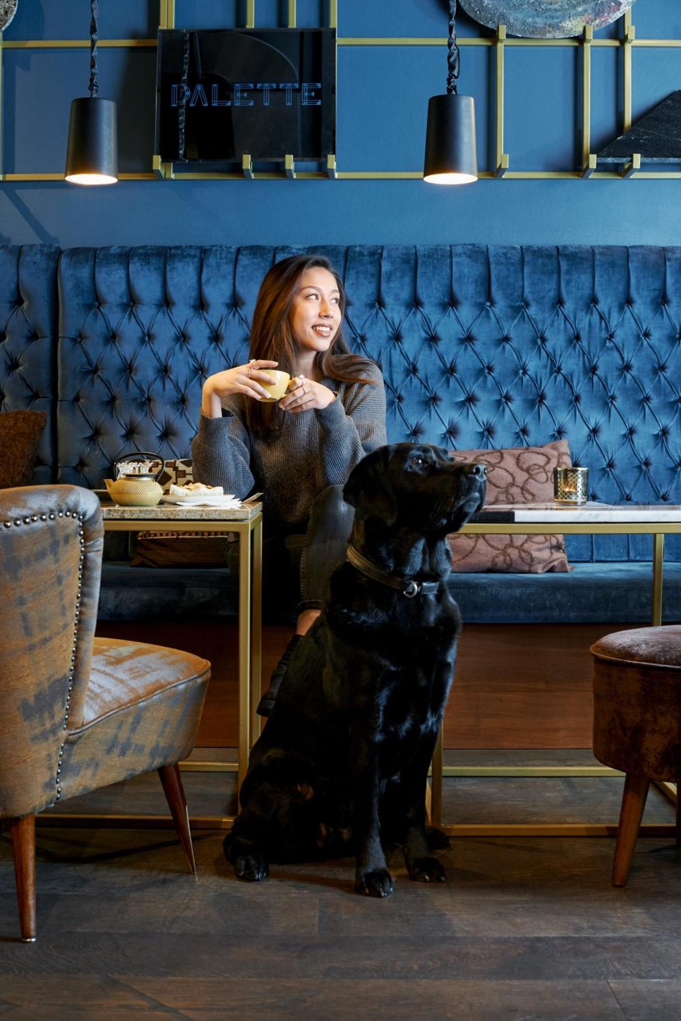 Townhouse Boutique 3* Zurich