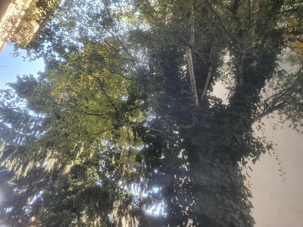 Homestay Sonnegg Guest Inh M Bisegger *