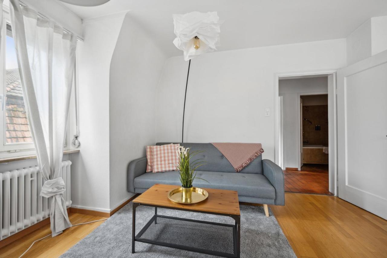 Apartment Cozy In The Heard Of Sonnegg Zurich