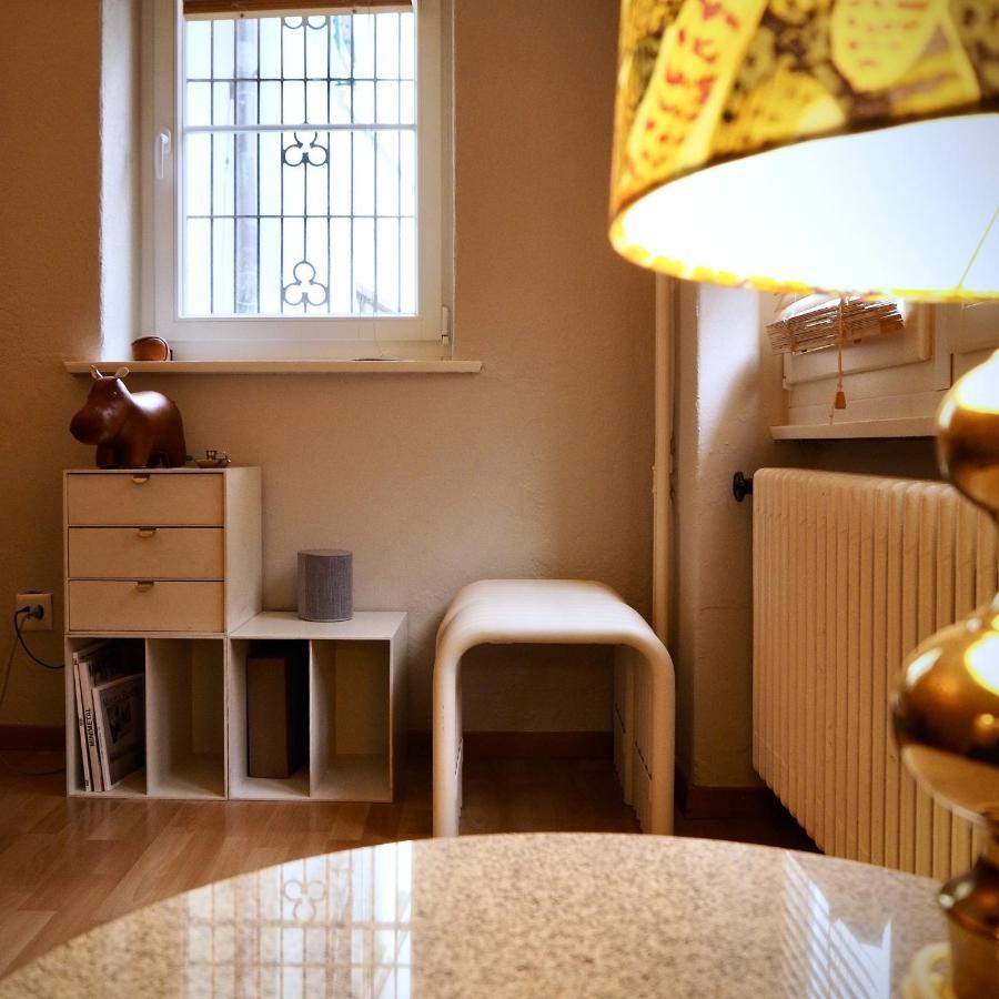 Apartment In The Heart Of Zürich