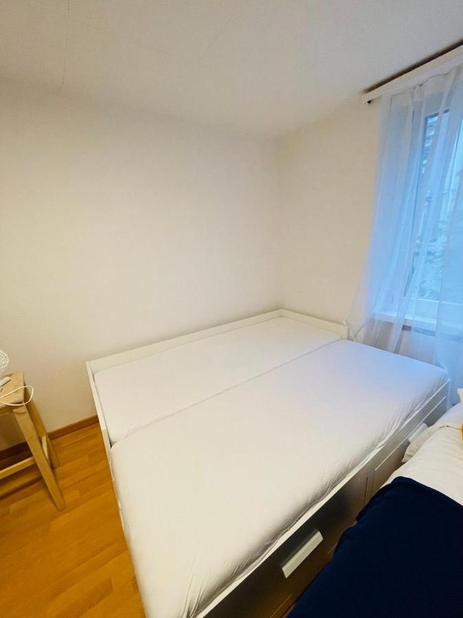 Cozy Apartment Zurich