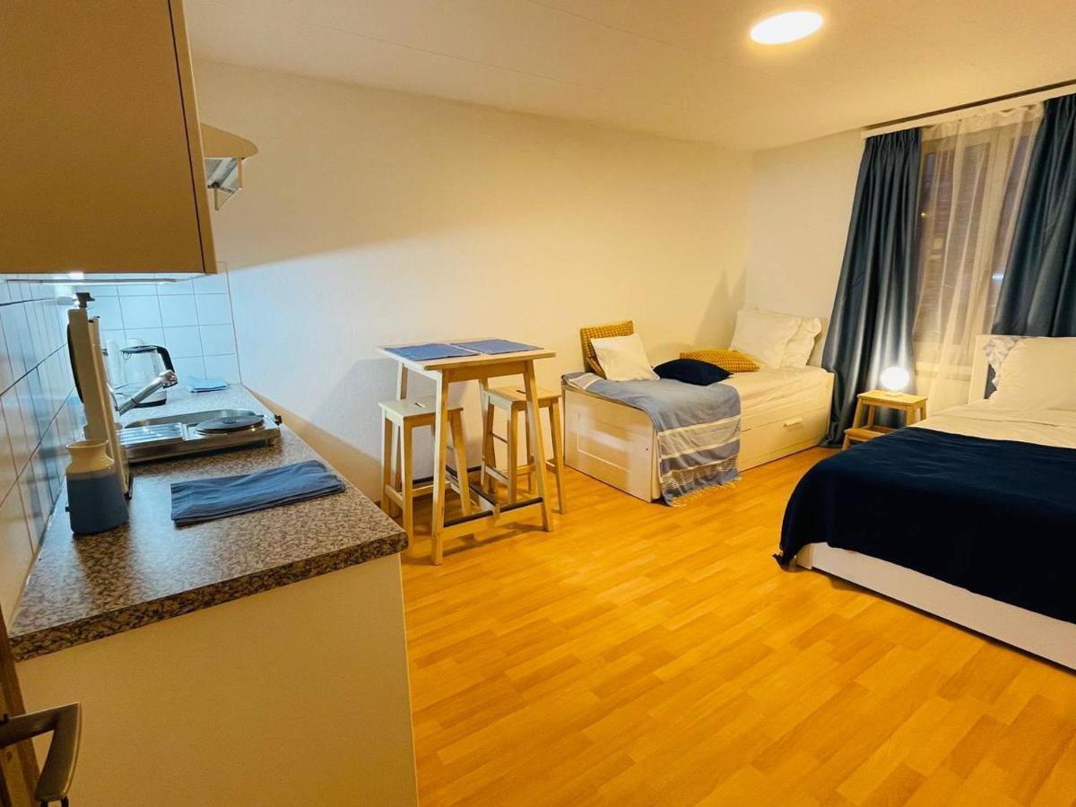 Apartment Cozy Zurich