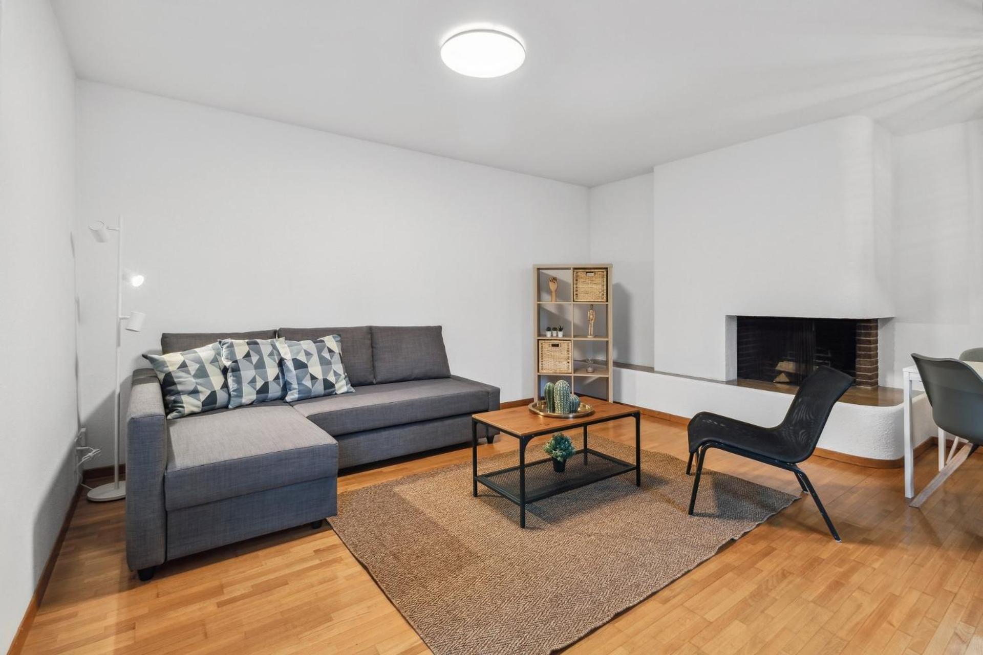 Your Cozy & Comfy Apartment Zurich