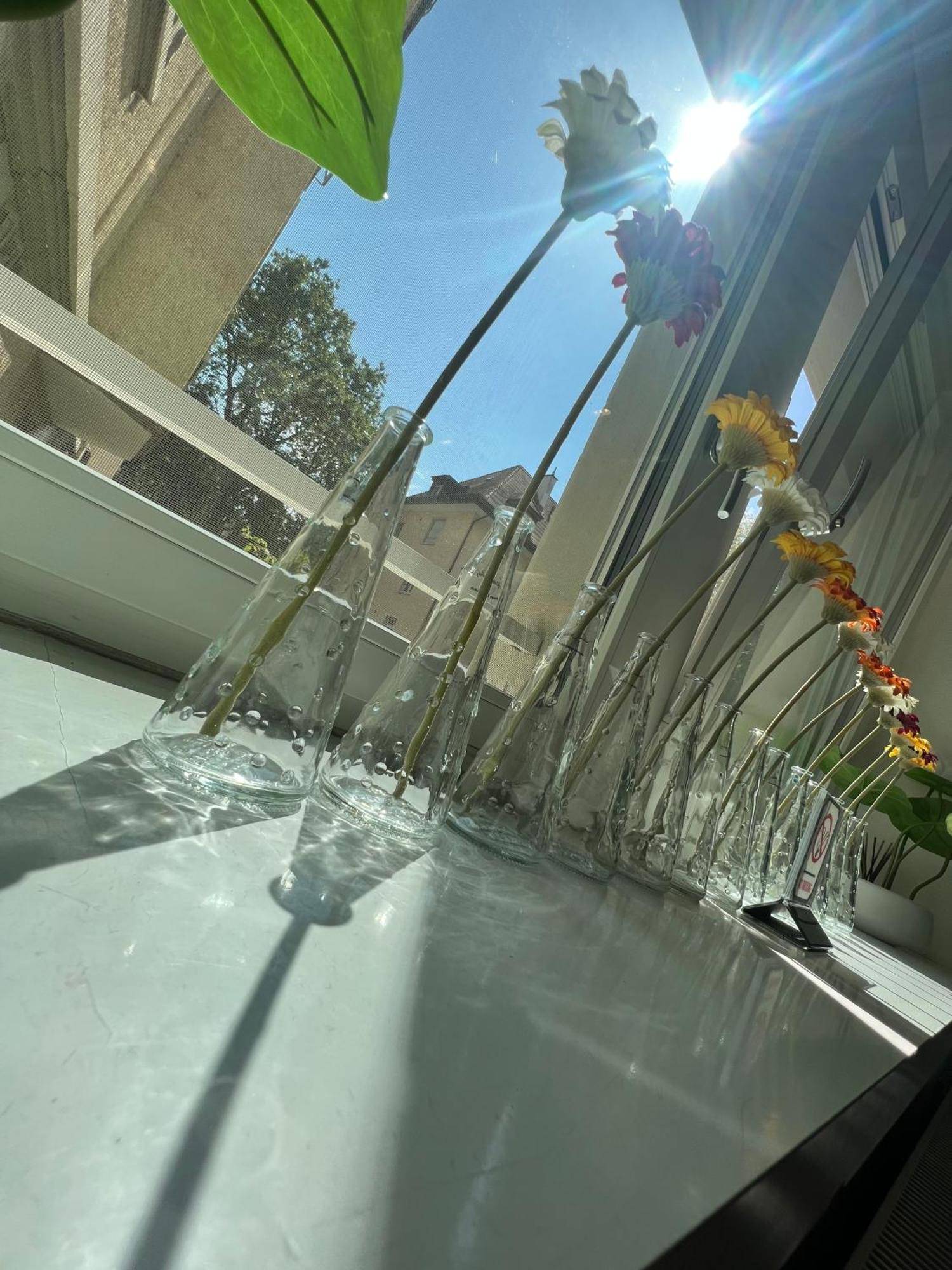 Aparthotel Seefeld Residenz Zurich