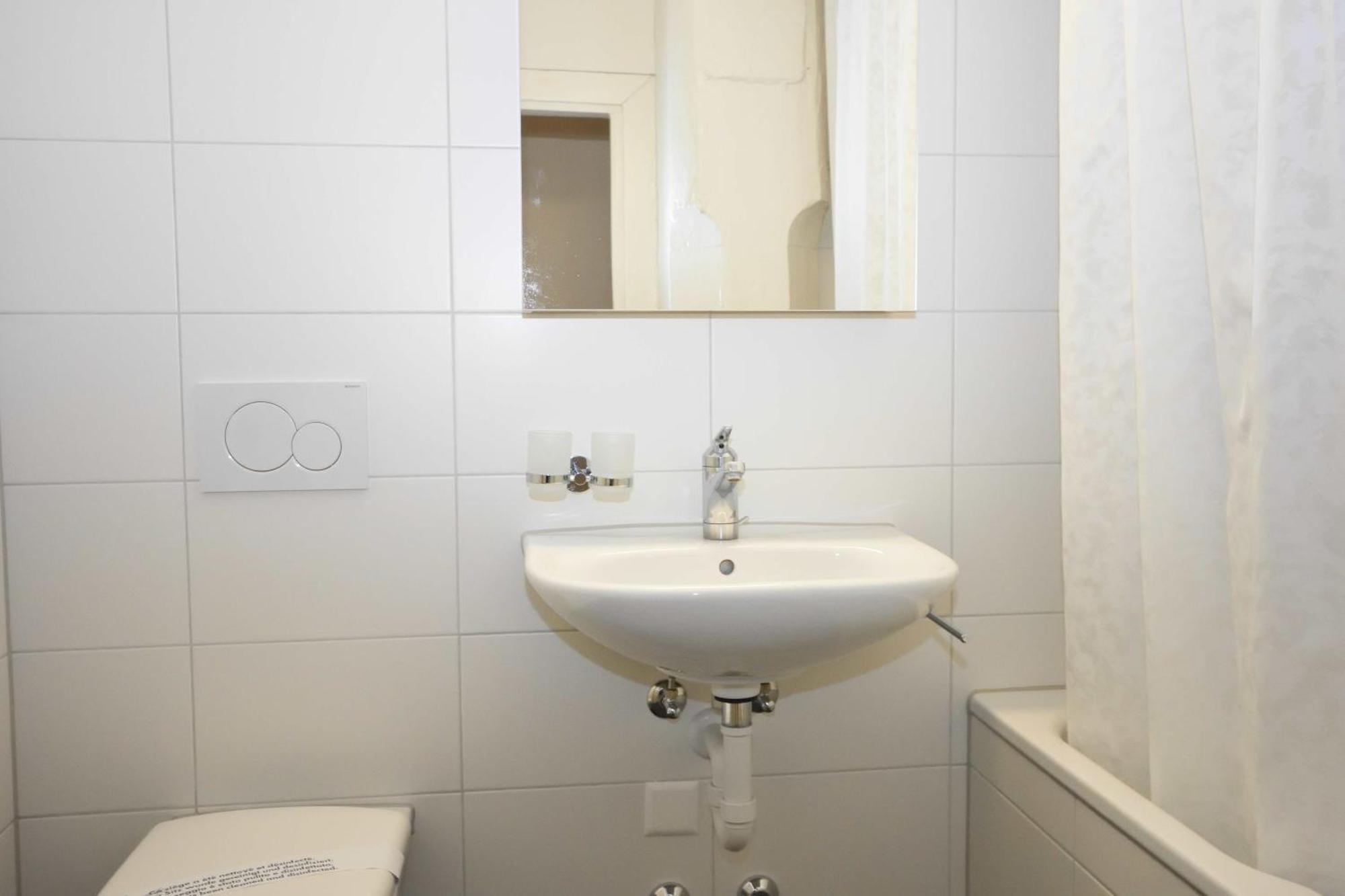 1br Flat In Historical Center - Symbol 3 Apartment