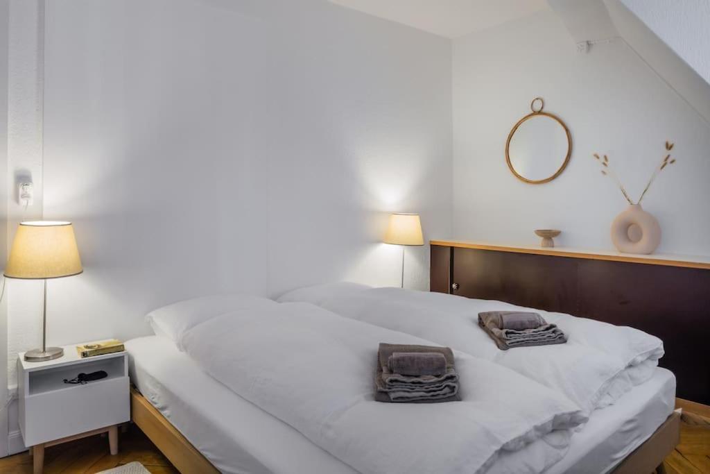 Apartment In Mit Dachterrasse // Langstrasse