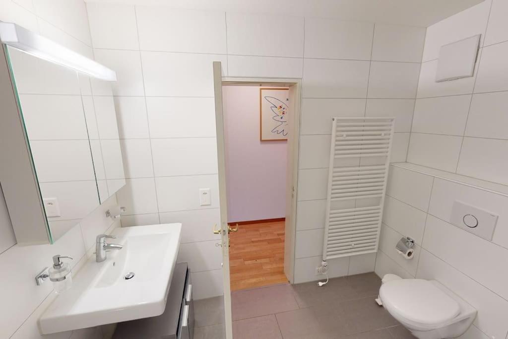 Apartment Penthouse Flat In The Center/near Zurich