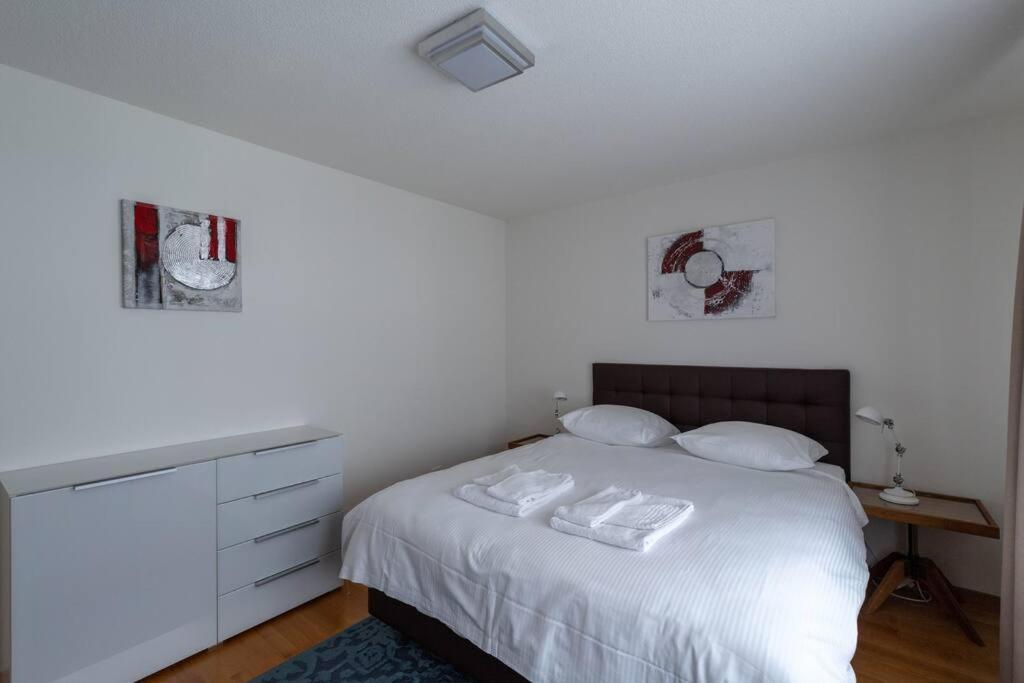 Apartment Executive 2 Bedroom Flat / Center Zurich