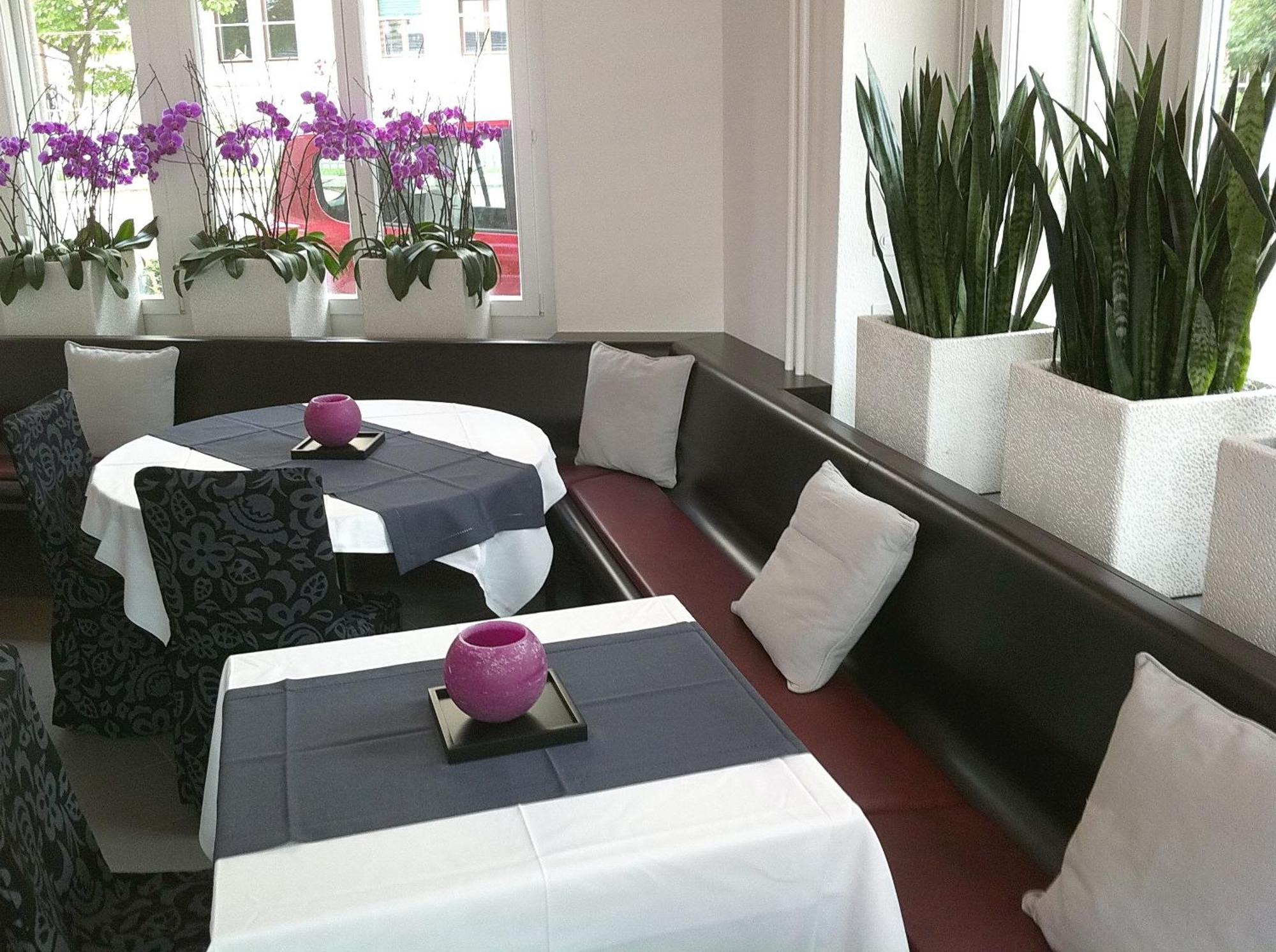 Hottingen - Near Old Town And