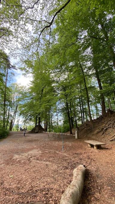 Feel Good With Forest View Apartment Zurich