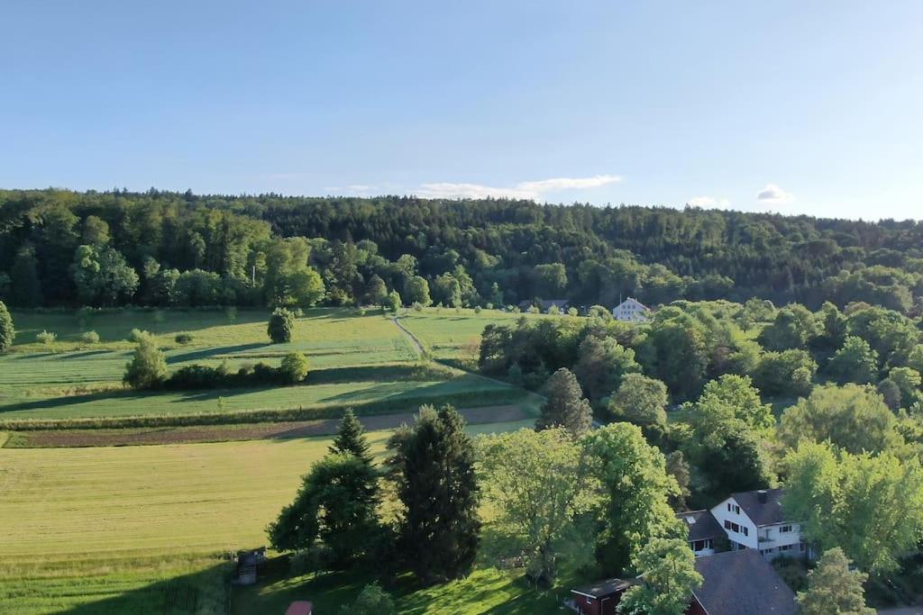 Feel Good With Forest View Apartment *