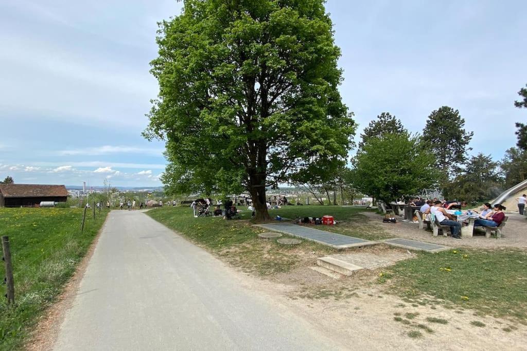 Feel Good With Forest View *